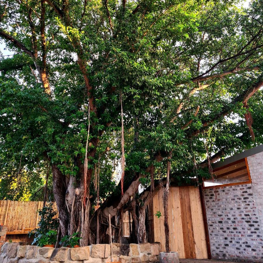Uthando Backpackers Lodge Oudtshoorn Exterior photo